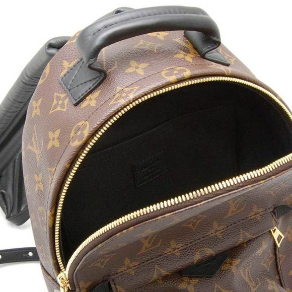 Louis Vuitton Palm Springs Backpack PM Monogram - Picture 4 of 8